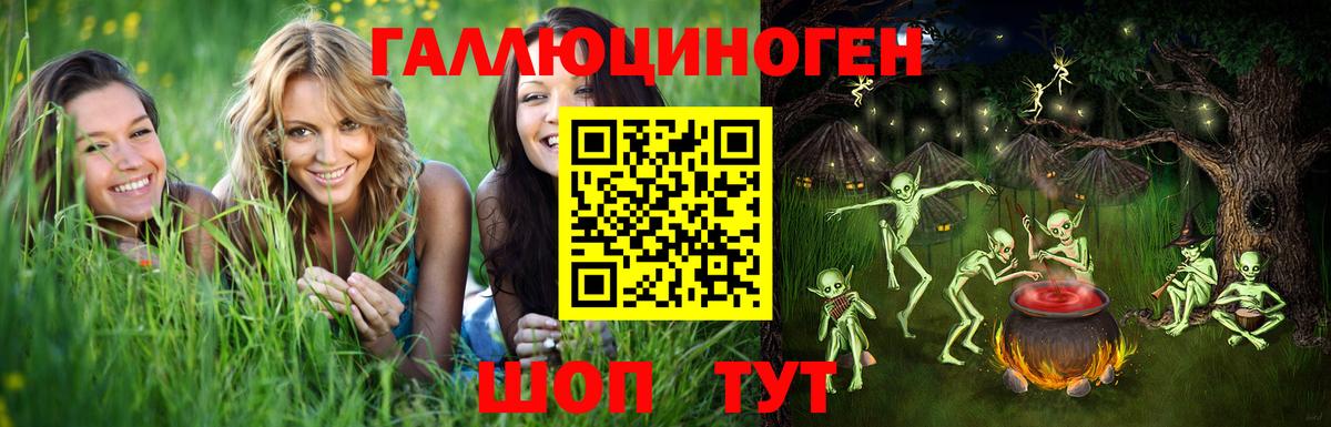 Псилоцибиновые грибы Psilocybine cubensis Добрянка