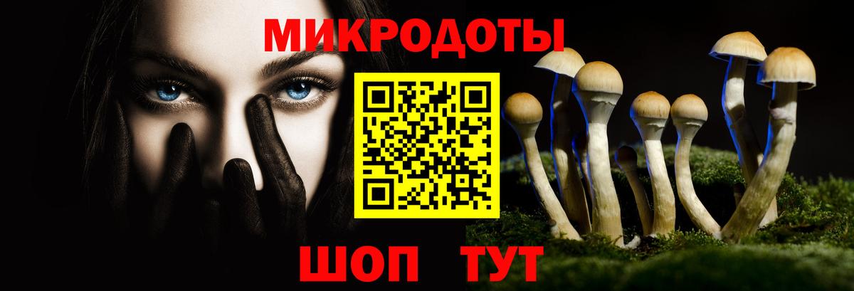 Галлюциногенные грибы Psilocybine cubensis  Вход с VPN  Добрянка 